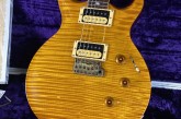 PRS Private Stock Limited Edition Howard Leese Golden Eagle-2.jpg